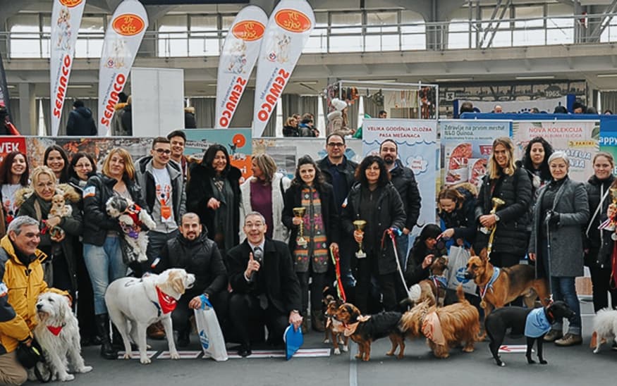 ORCA Velika godišnja izložba pasa mešanaca 2018